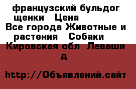 французский бульдог щенки › Цена ­ 50 000 - Все города Животные и растения » Собаки   . Кировская обл.,Леваши д.